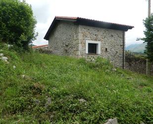 Vista exterior de Casa o xalet en venda en Peñamellera Alta