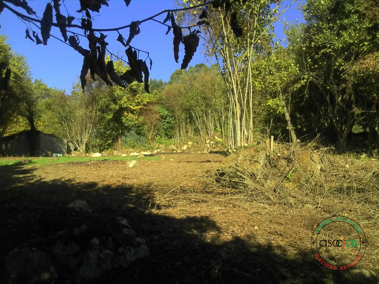 Terreno rustico in vendita a Gijón - BARRIO SAN PELAYO - CALDONES, imagen 11