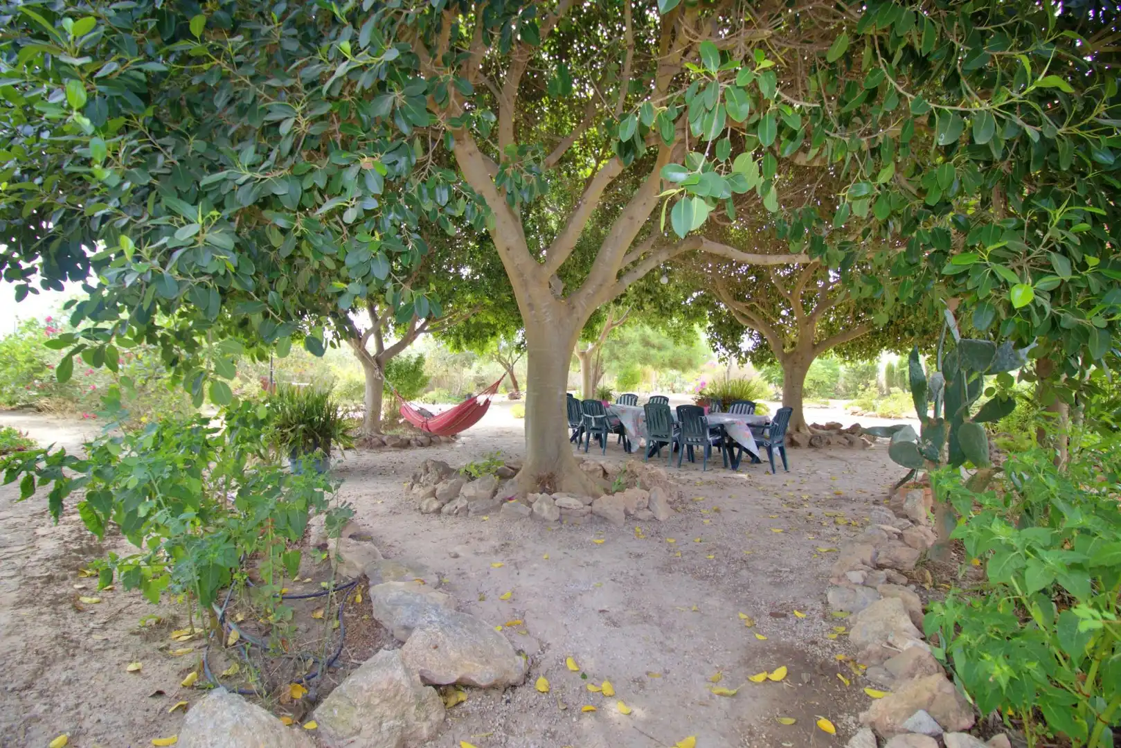 Villa avec piscine à vendre à La Foia - Daimés - Asprella, imagen 89