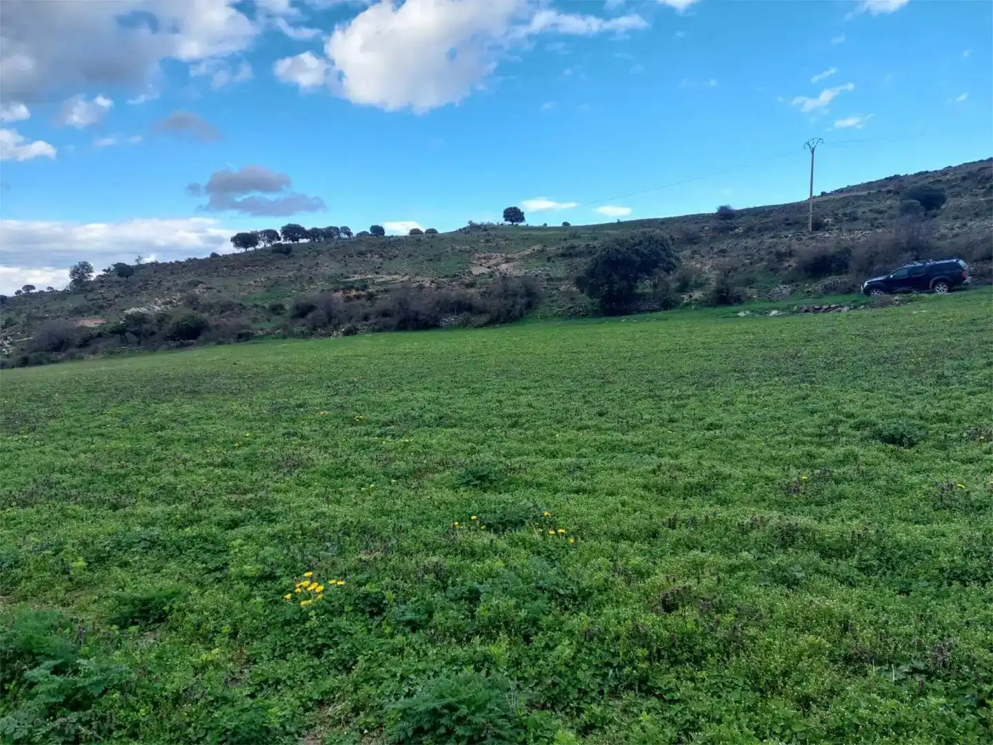 Terreno en venta en Suellacabras