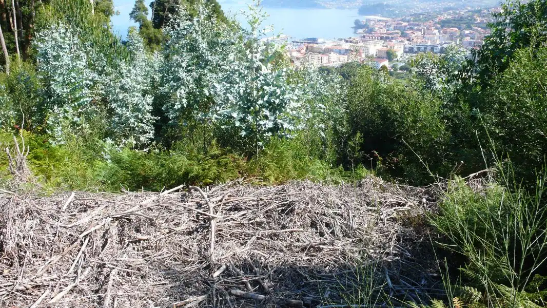 Terreni e lotti in vendita a Ramorta de Arriba, imagen 12