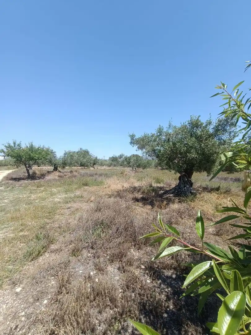 Residencial en venda en L'Ametlla de Mar 