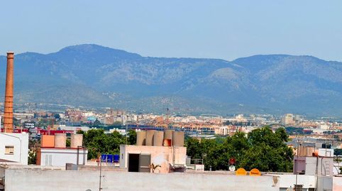 Foto 4 de Piso en venta en El Coll d'en Rabassa, Palma de Mallorca