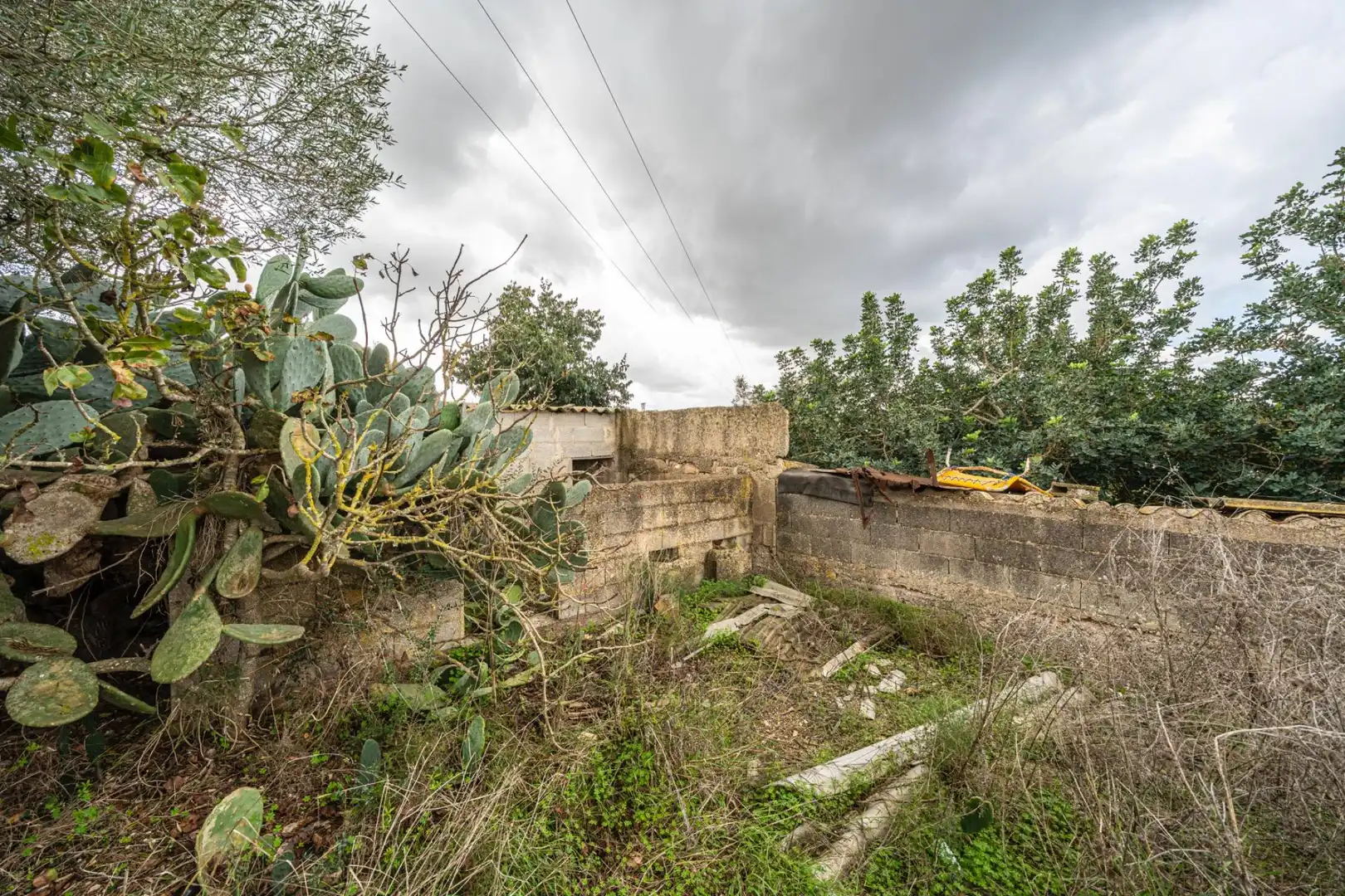Rural land for sale in Felanitx Poble, imagen 13