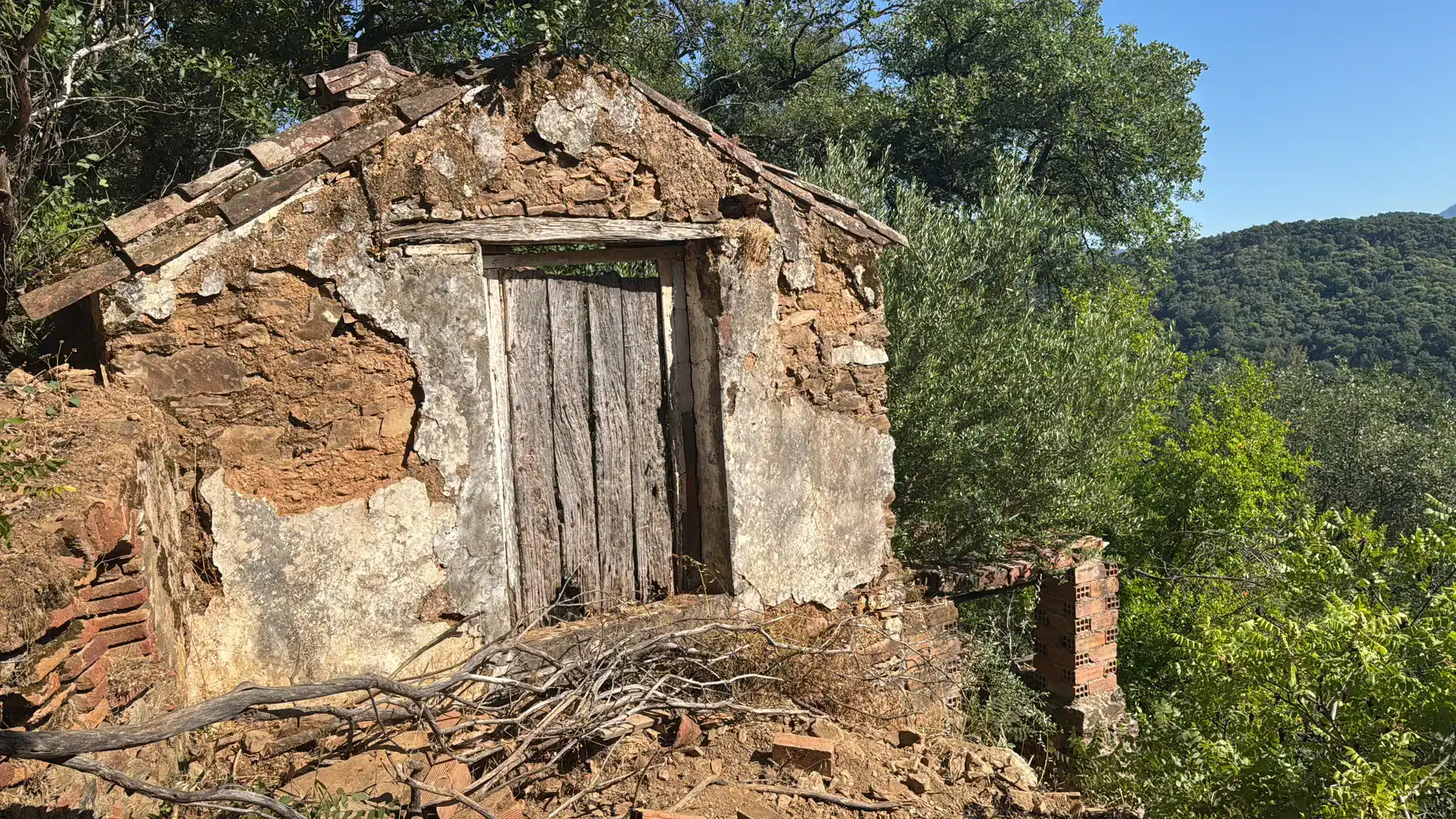 Vista exterior de Finca rústica en venda en Benalauría amb Piscina i Balcó