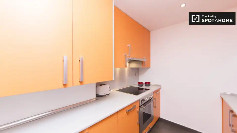 Flat with terrace to rent in Centro, imagen 11