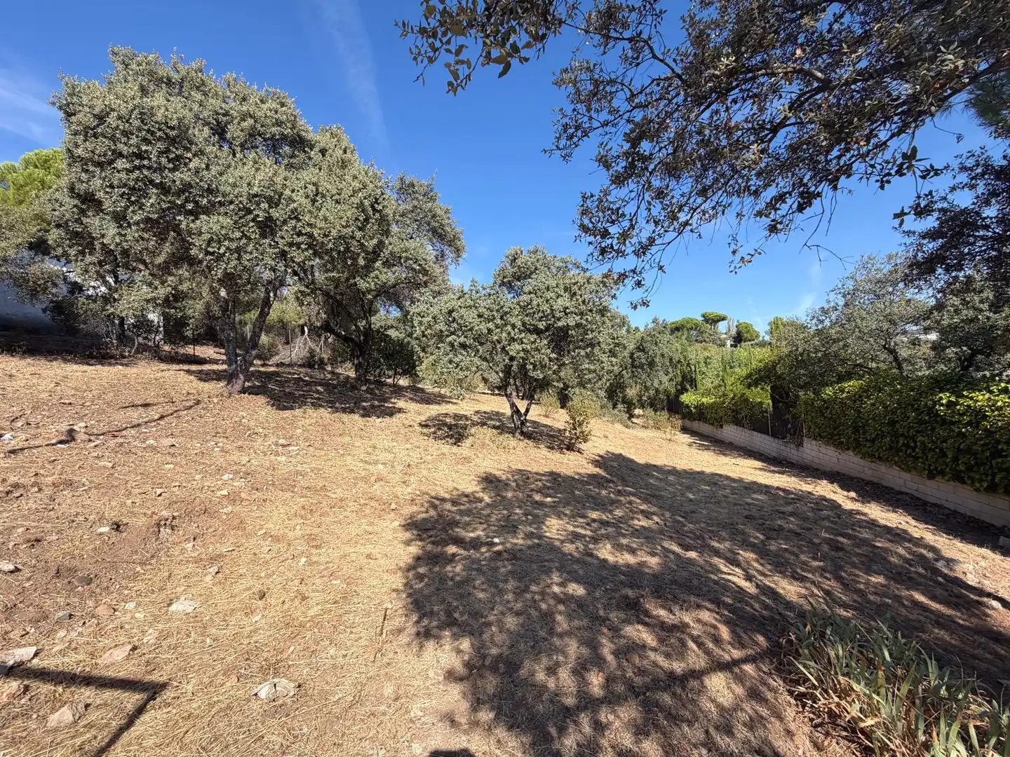 Residential land for sale in Villa del Prado, imagen 15