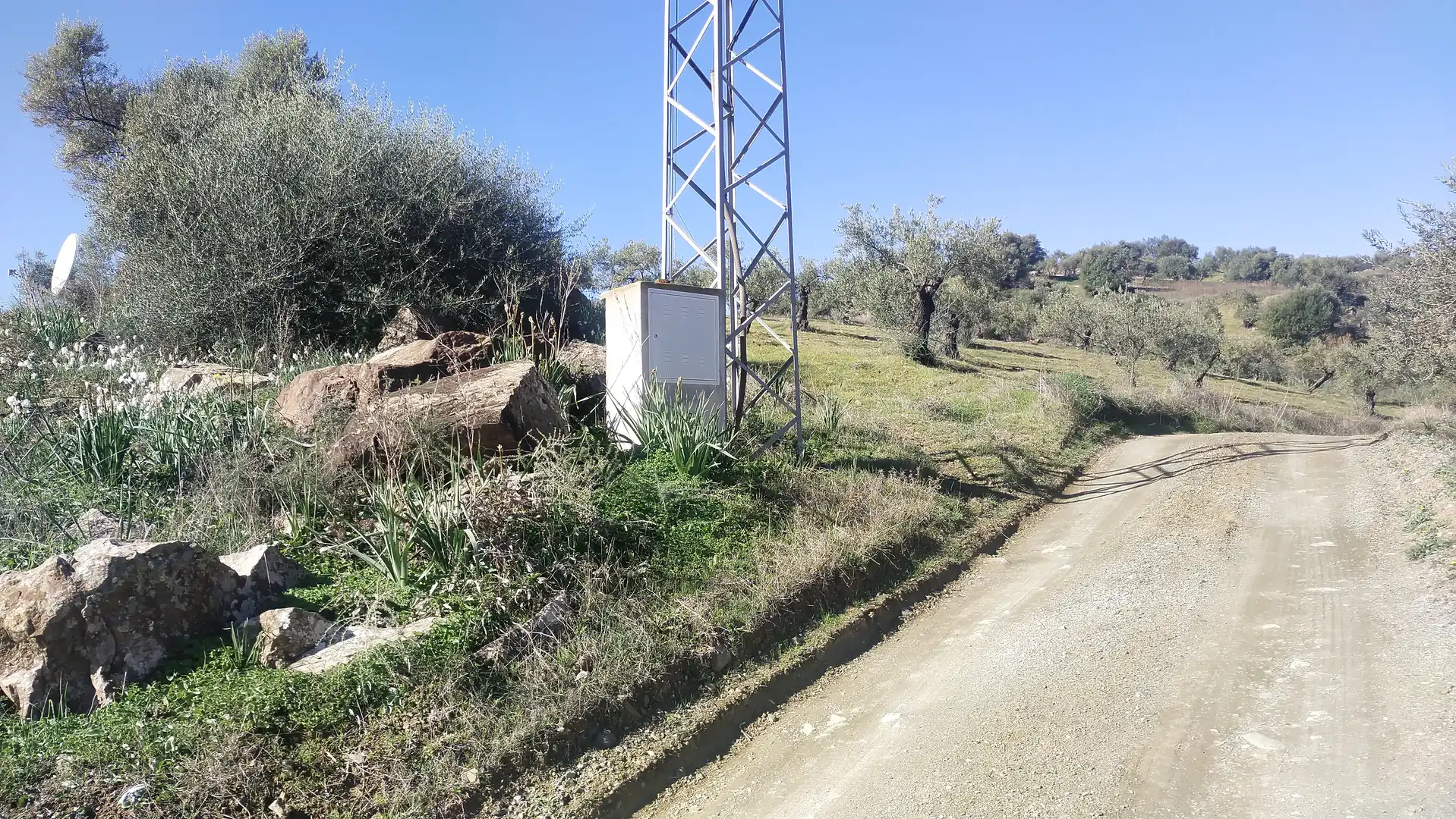 Terreni e lotti in vendita a Avenida de San Roque, imagen 33