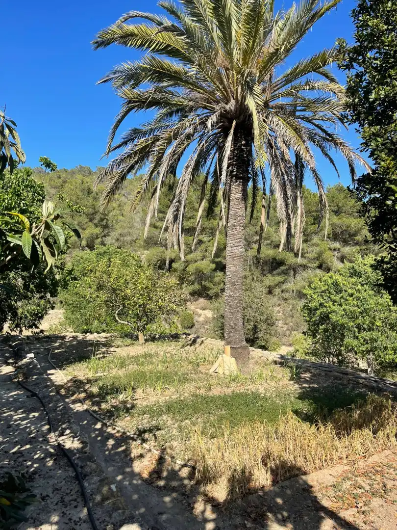 Casa o chalet de alquiler en Sant Josep de sa Talaia con Jardín privado, Piscina y Amueblado