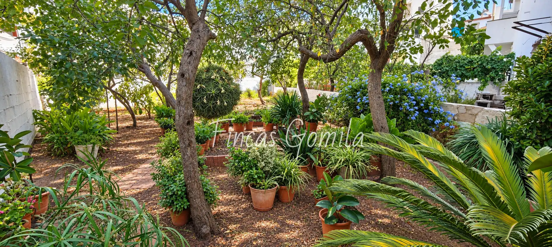 House with garden for sale in Fred, imagen 12