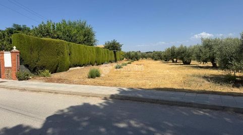 Terrenos en venta en Úbeda, immagine 3