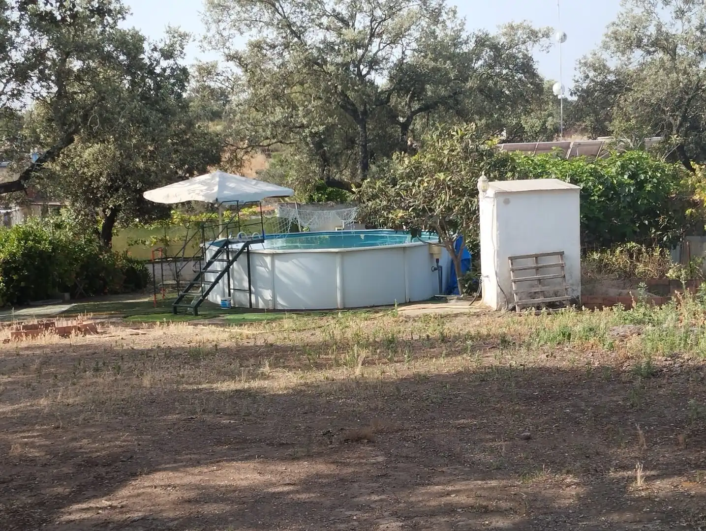 Piscina de Casa o chalet en venta en Castilblanco de los Arroyos