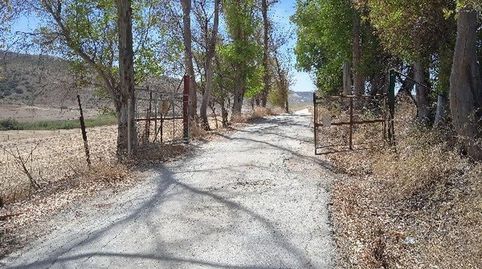 Promoción de terrenos en venta en pre. el jeme, polígono 60 en Morón de la Frontera, imatge 3