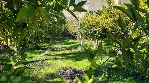 Photo 5 of Residential for sale in Terrenos Rodriguez de la Borbolla , Centro - Sagrario,  Granada Capital