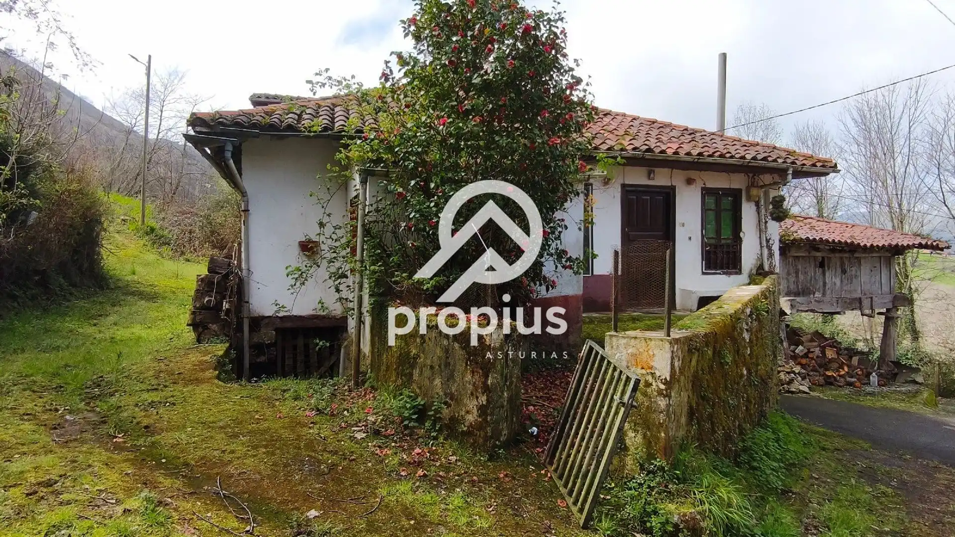 Casa o xalet en venda a Buda, Vibaña - Ardisana - Caldueño