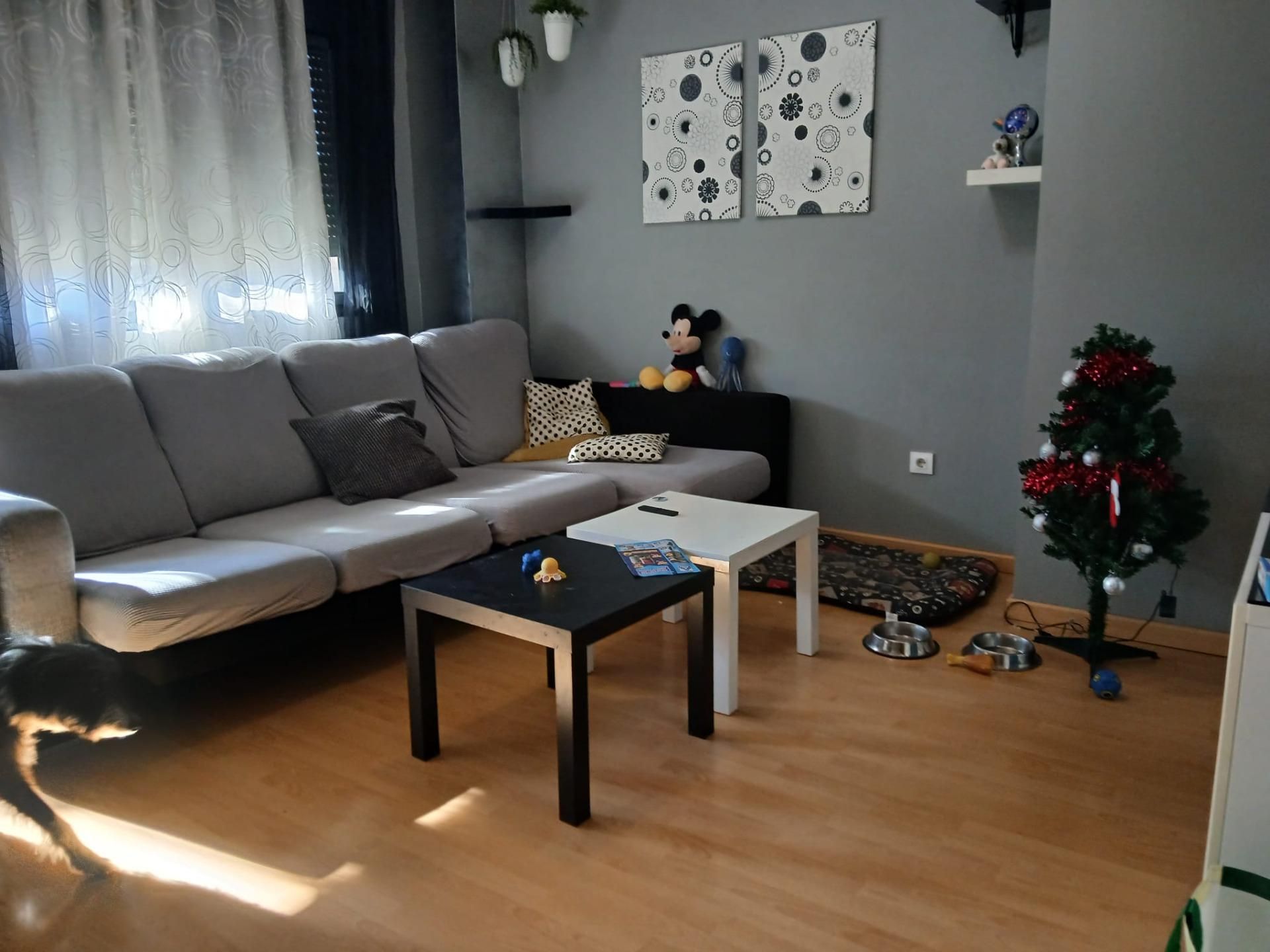 Sala de estar de Piso en venta en Cáceres Capital con Aire acondicionado, Calefacción y Jardín privado