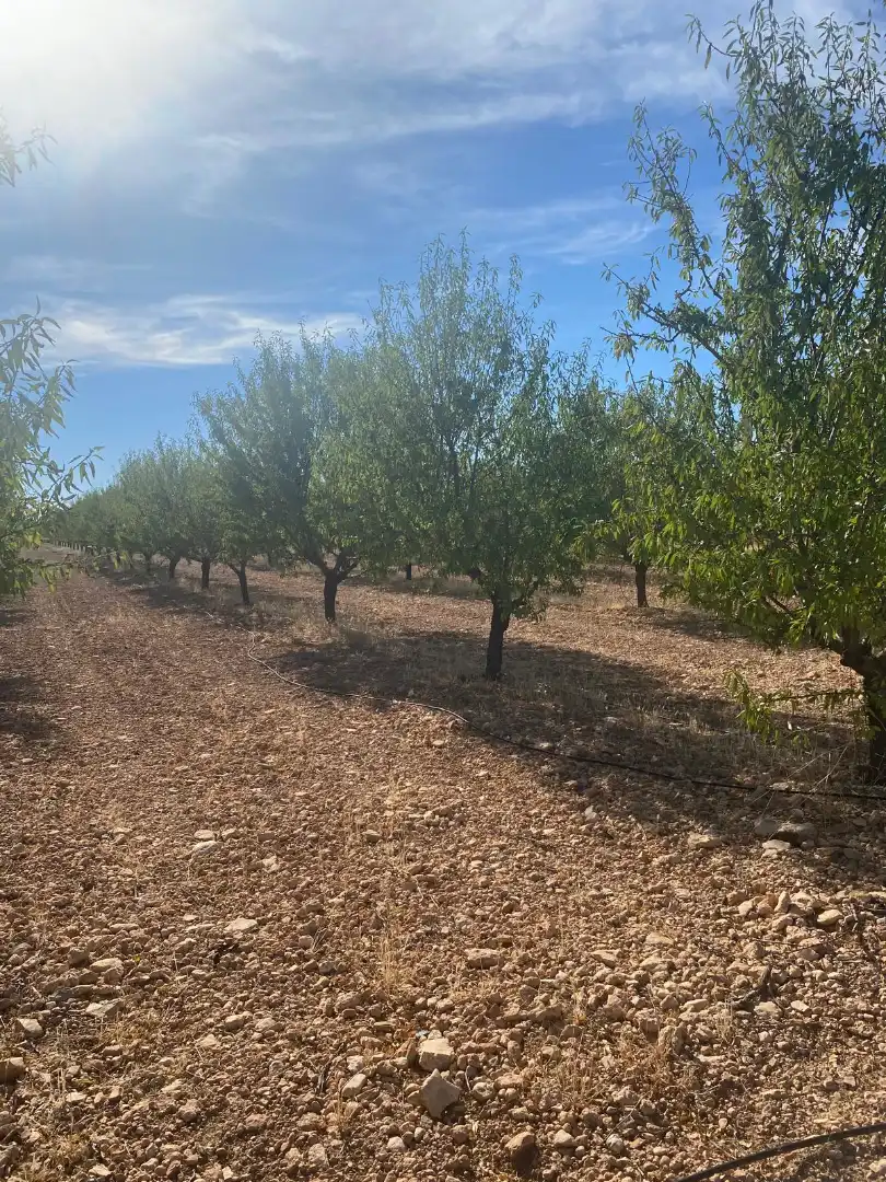 Terreno rustico in vendita a Calle García Pavón, imagen 33