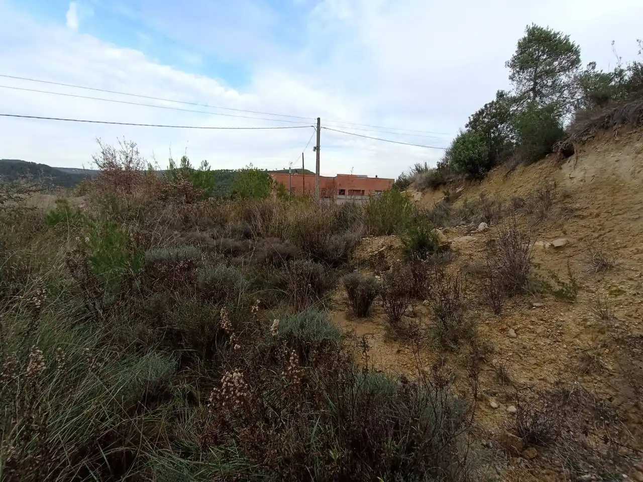 Terreny rústic en venda a Castellbell i el Vilar, imagen 9