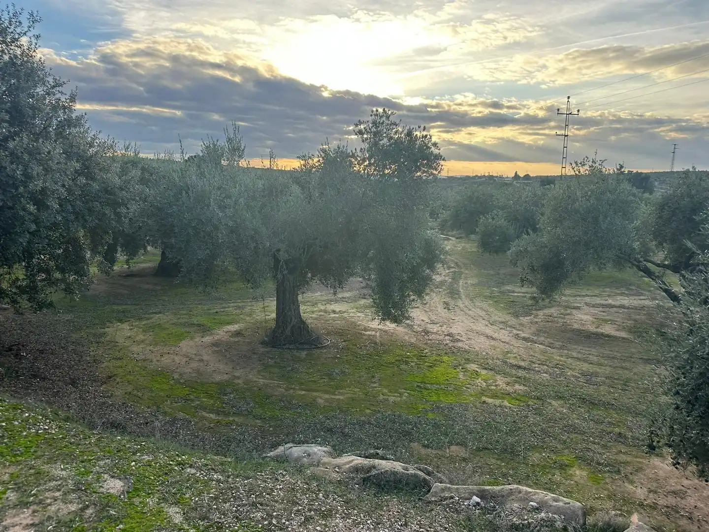 Grundstücke zum Verkauf in Andújar