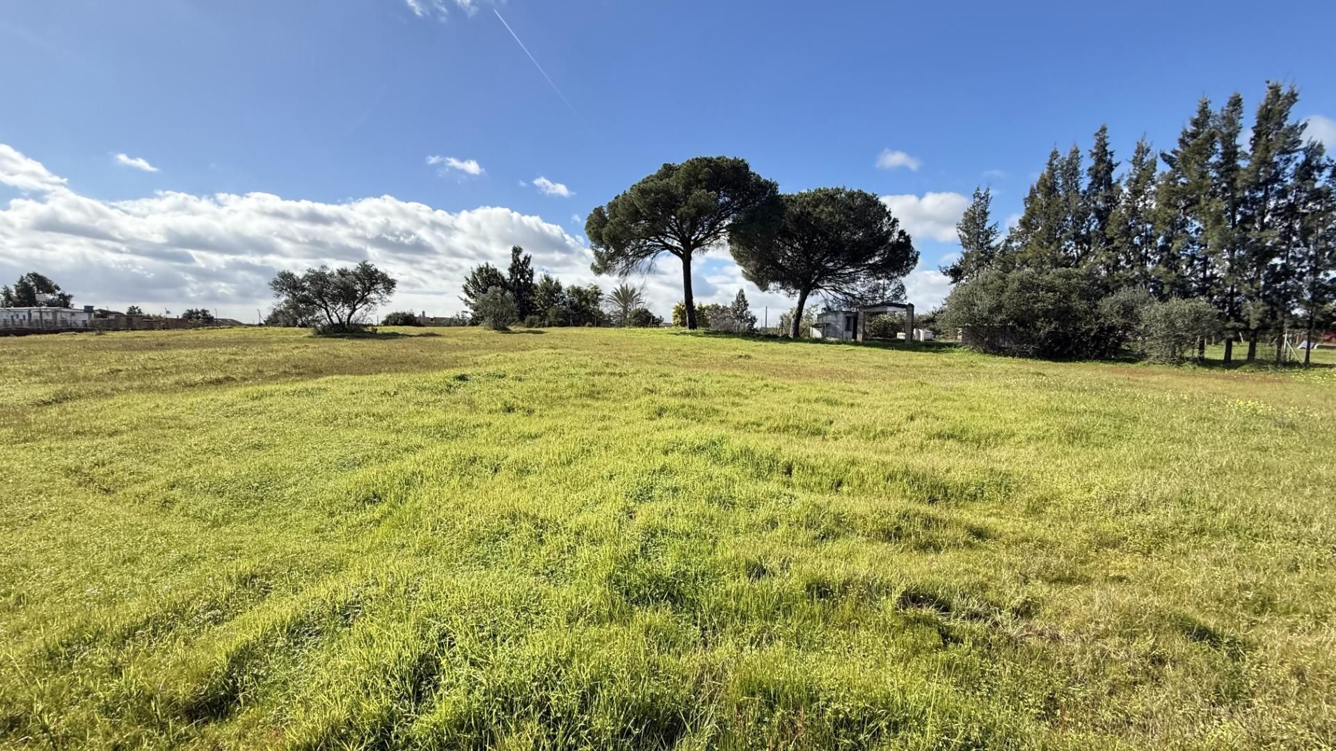 Finca rústica en venda en Gibraleón amb Jardí privat, Traster i Piscina
