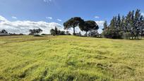 Country house for sale in Gibraleón  with Private garden, Storage room and Swimming Pool