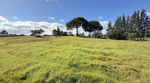 Photo 2 of Country homes for sale in Gibraleón, Huelva