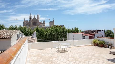 Foto 2 de Loft de lloguer a La Llotja - Born, Illes Balears