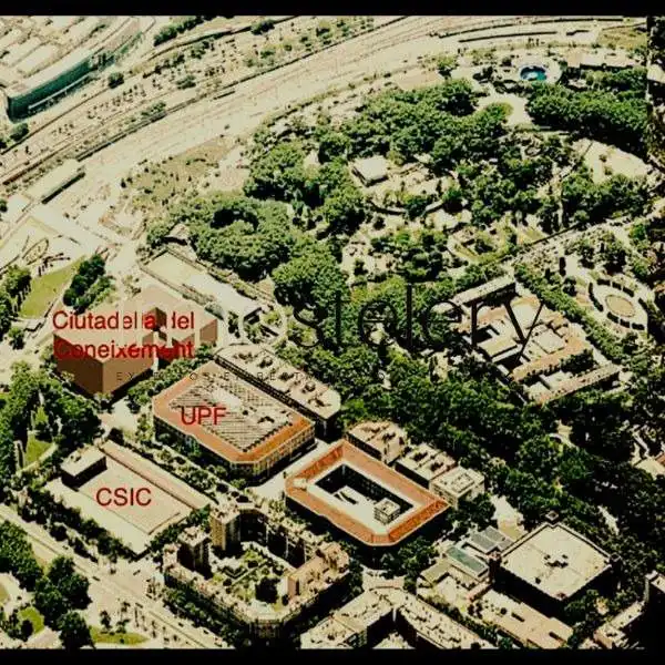 Local de lloguer a La Vila Olímpica del Poblenou
