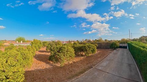Foto 4 de Finca rústica en venda a  Urb Santa Iglesia, Almensilla, Sevilla