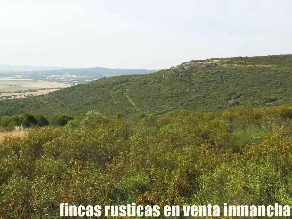 Terreny rústic en venda a Alcolea de Calatrava, imagen 11