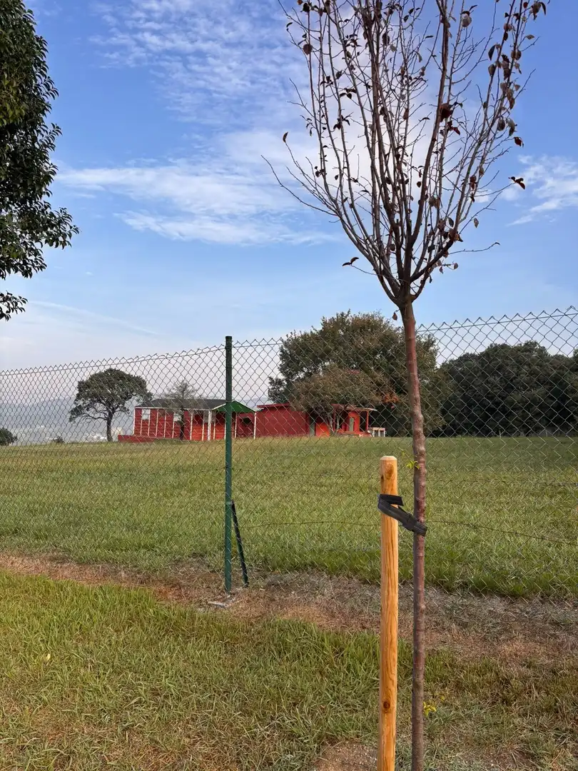 Rural land for sale in Erandio, imagen 4