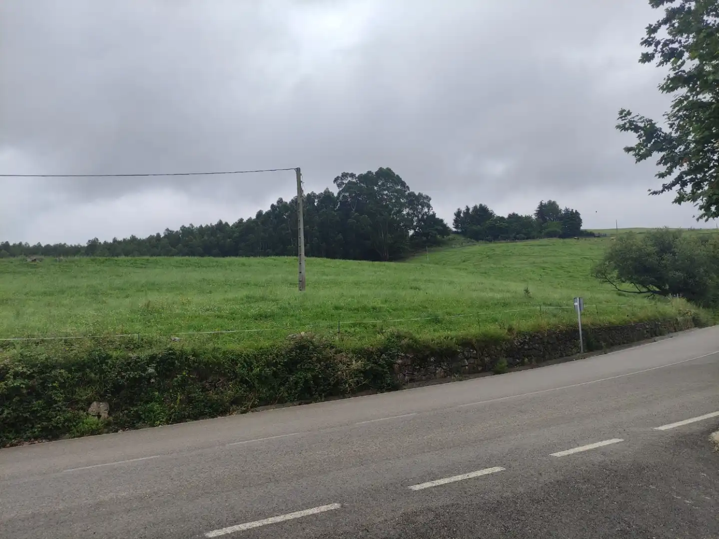 Detached homes for sale in Torrelavega 