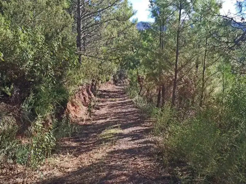 Finca rústica en venda en Jubrique amb Piscina