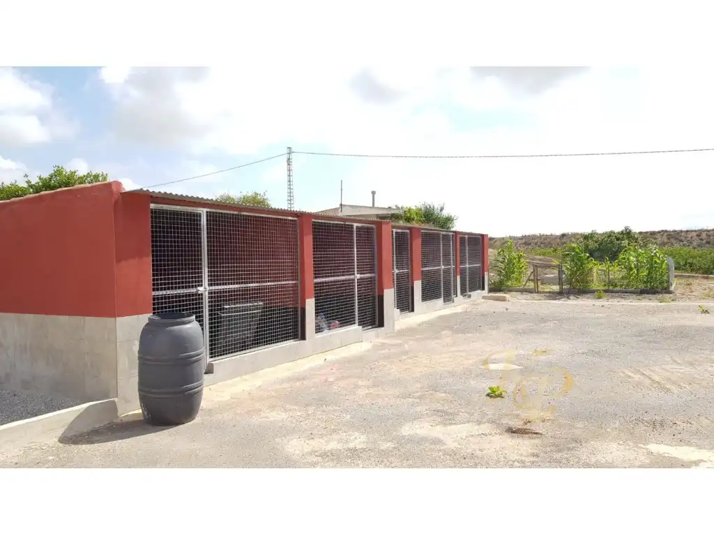 Casa en venta en Los Montesinos, imagen 13