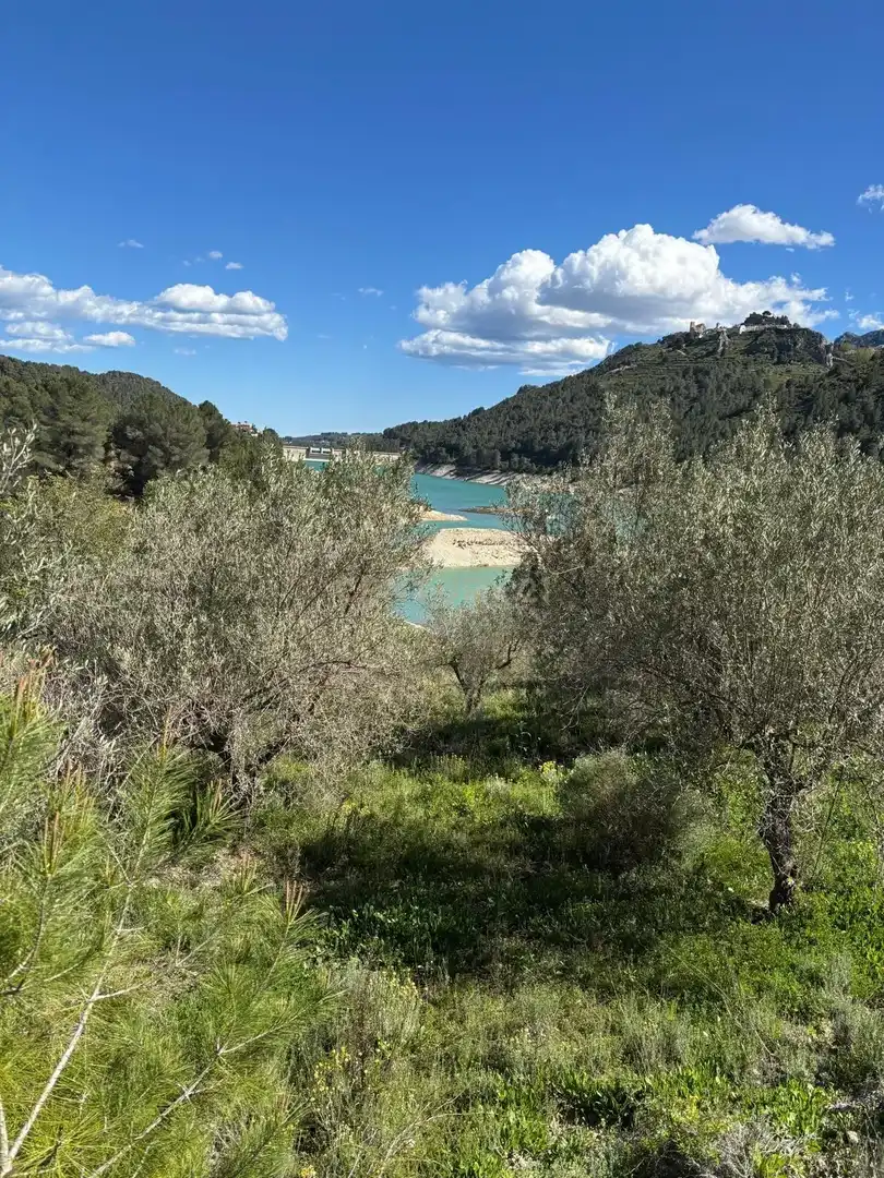 Grundstücke zum Verkauf in Beniardà