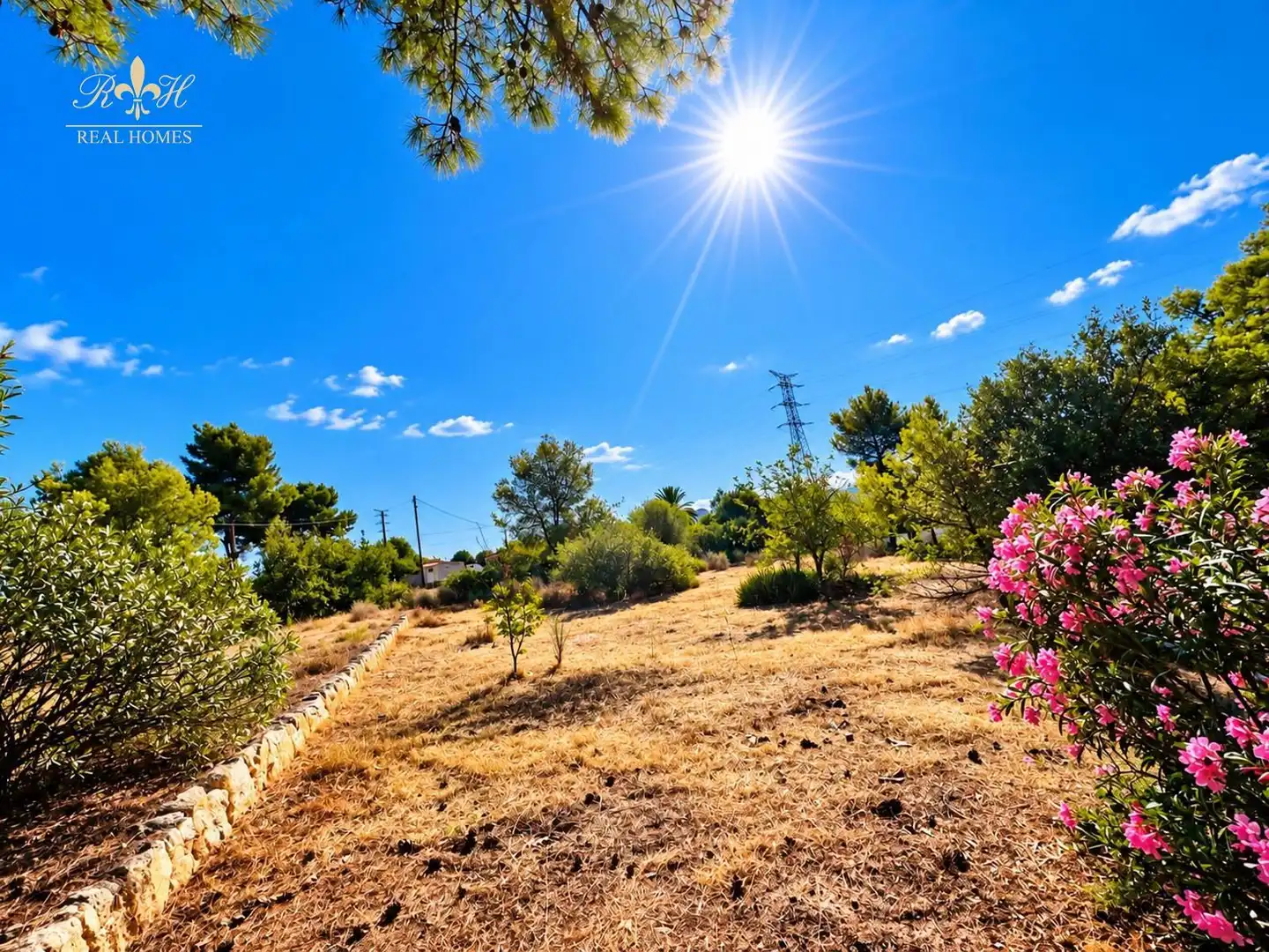 Detached house with pool for sale in EL PLANET, imagen 10