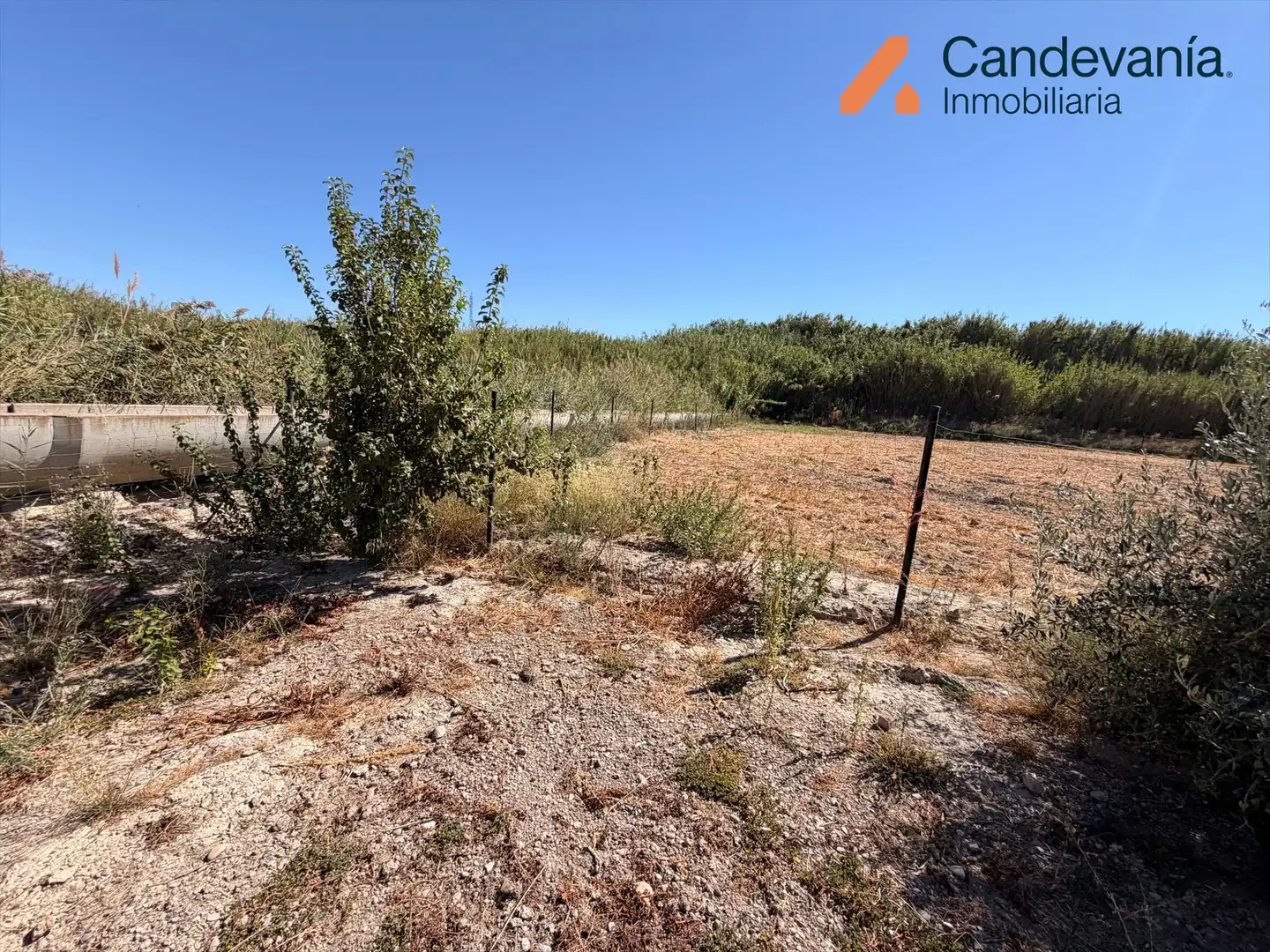Rural land for sale in Zuera, imagen 10
