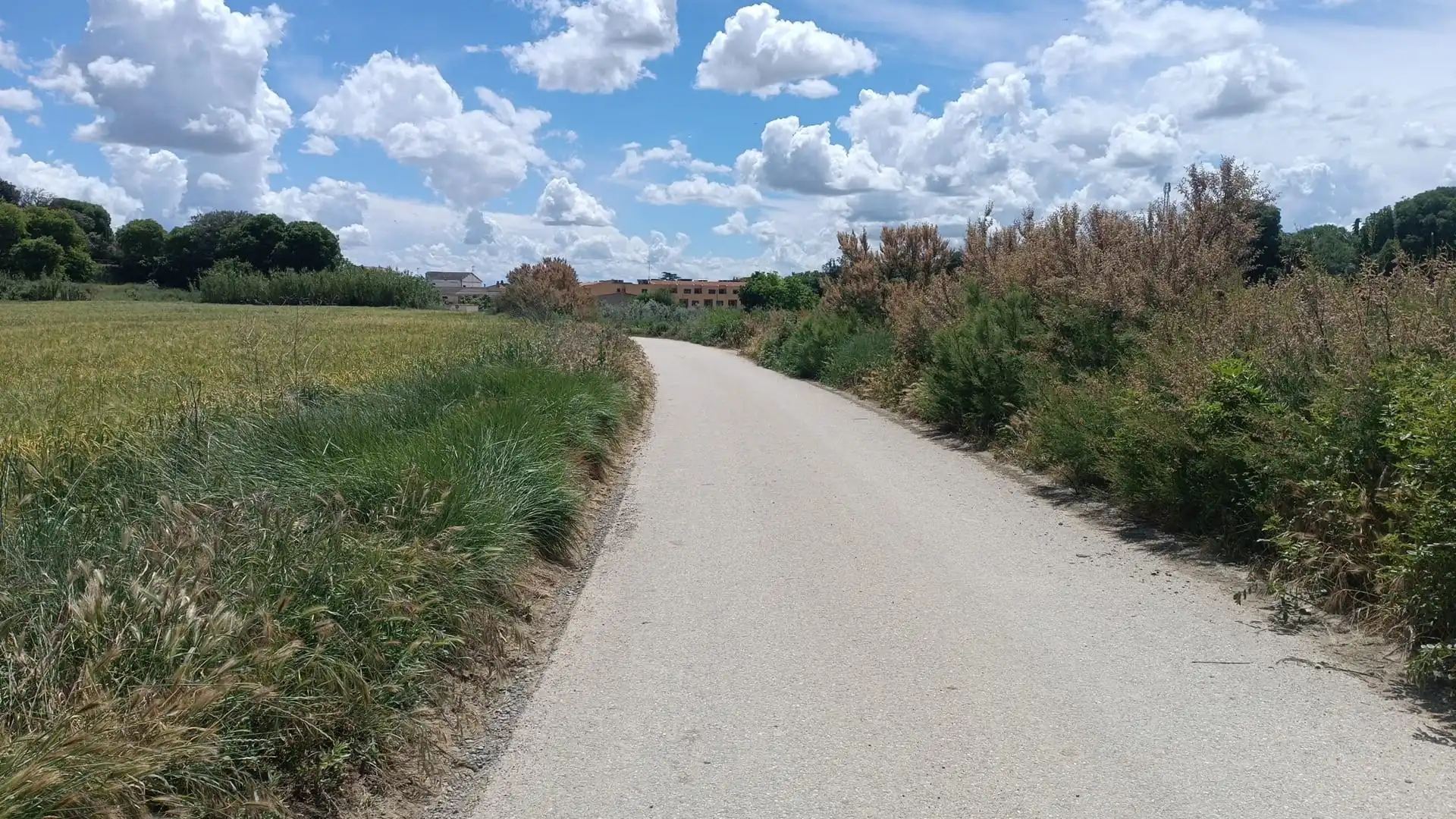 Terreni e lotti in vendita a Almunia de San Juan, imagen 3