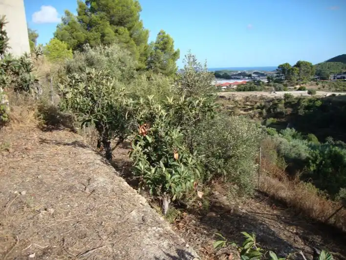 Terreno residencial en venta en Carrer Barceloneta 16, imagen 2