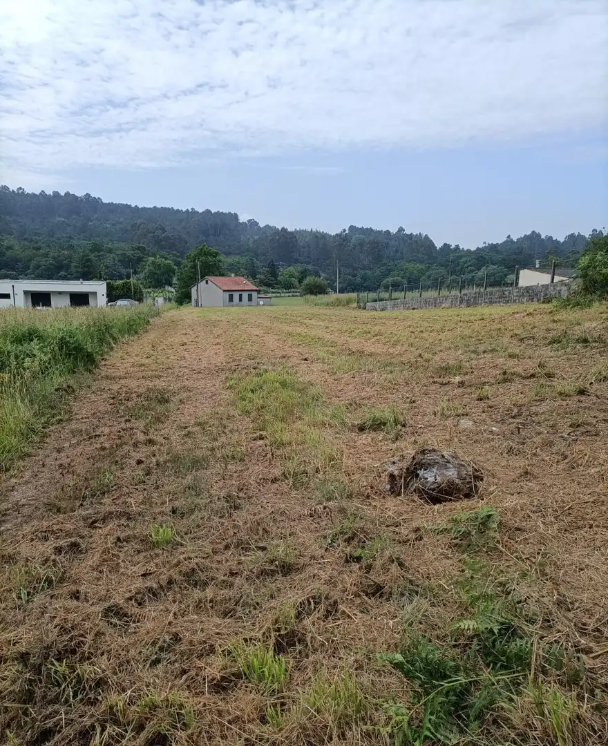 Terreny residencial en venda a Vedra, imagen 5