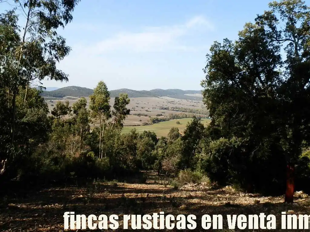 Terreny rústic en venda a Puebla de Don Rodrigo, imagen 18