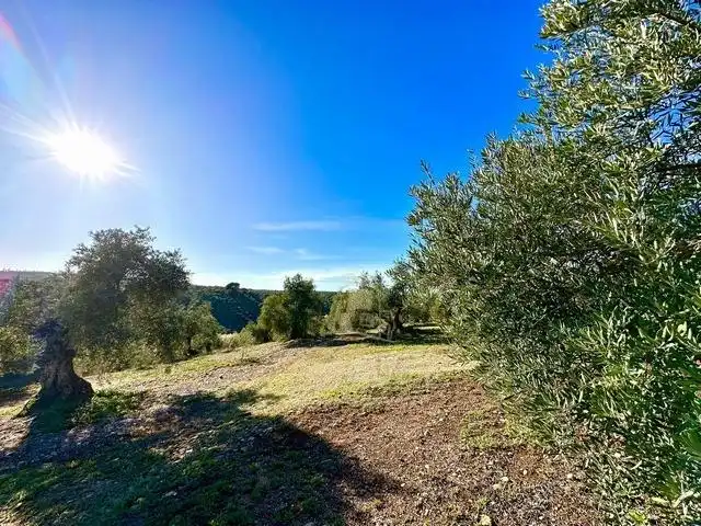 Finca rústica en venta en Adamuz