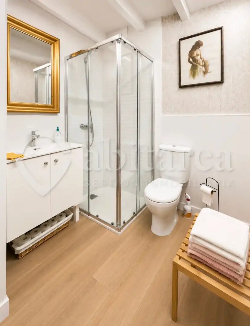 Baño de Estudio de alquiler en Santander con Amueblado y Horno