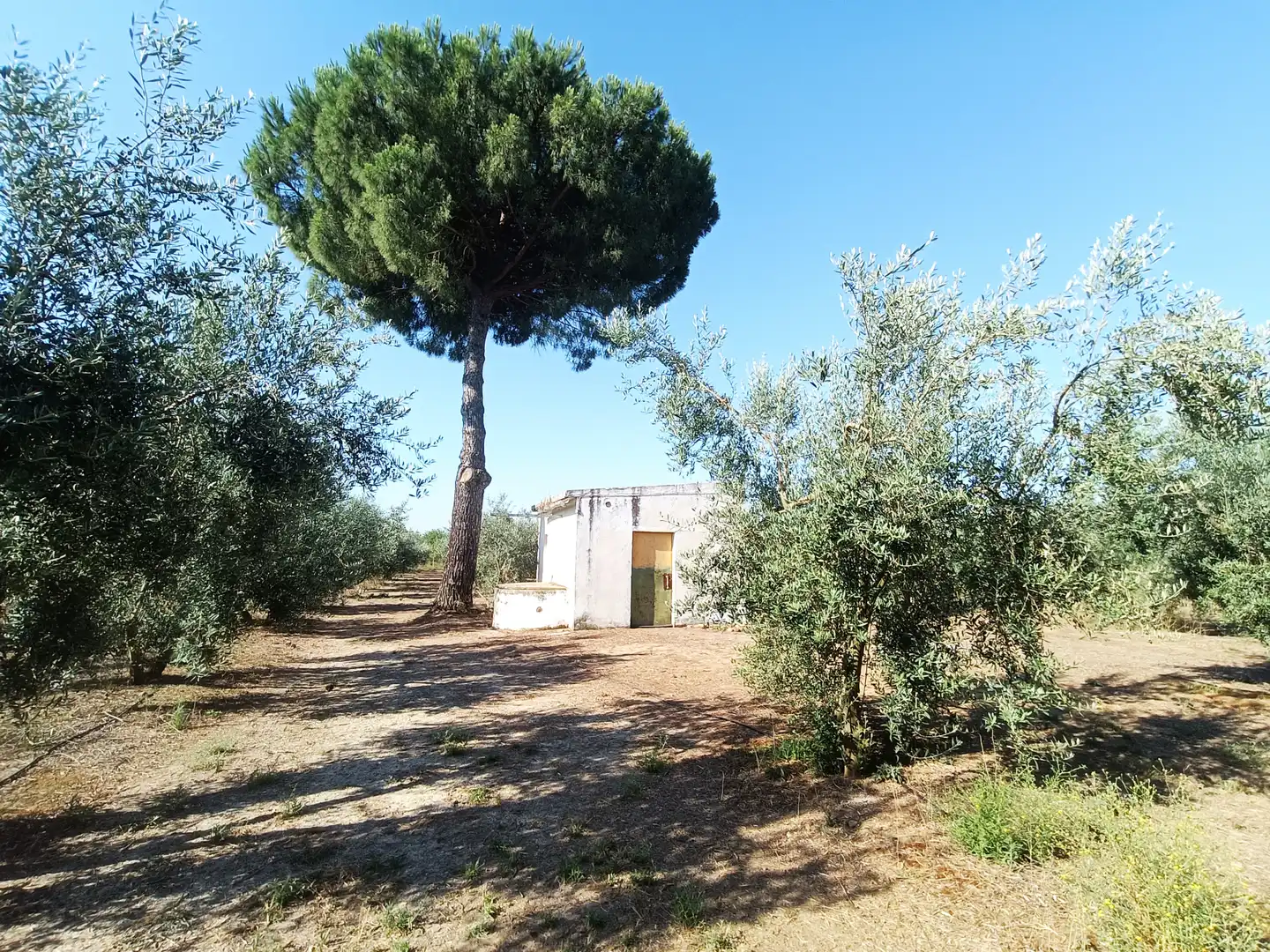 Terreni e lotti in vendita a Villanueva del Ariscal