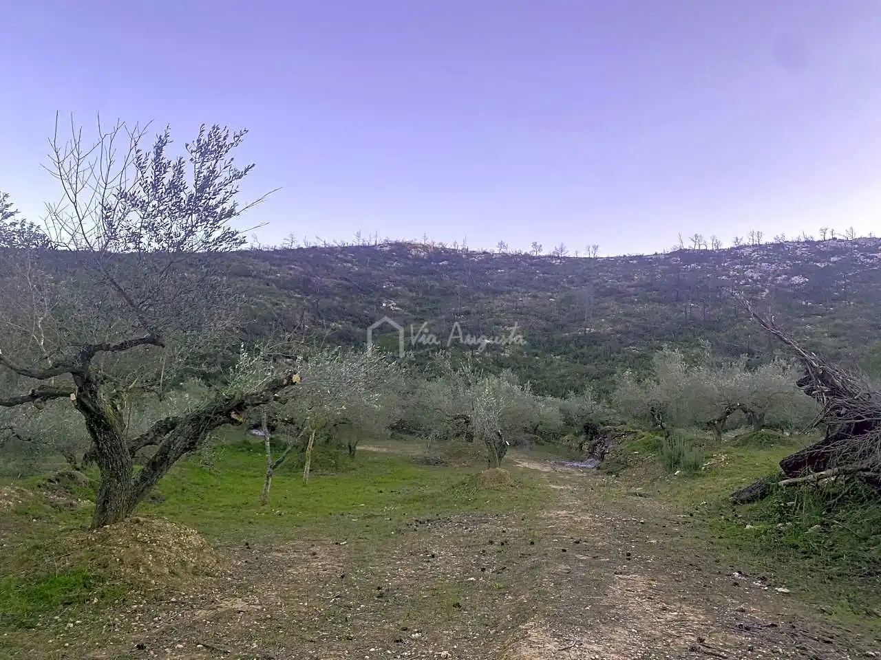 Terreno rustico in vendita a Perchels, imagen 7
