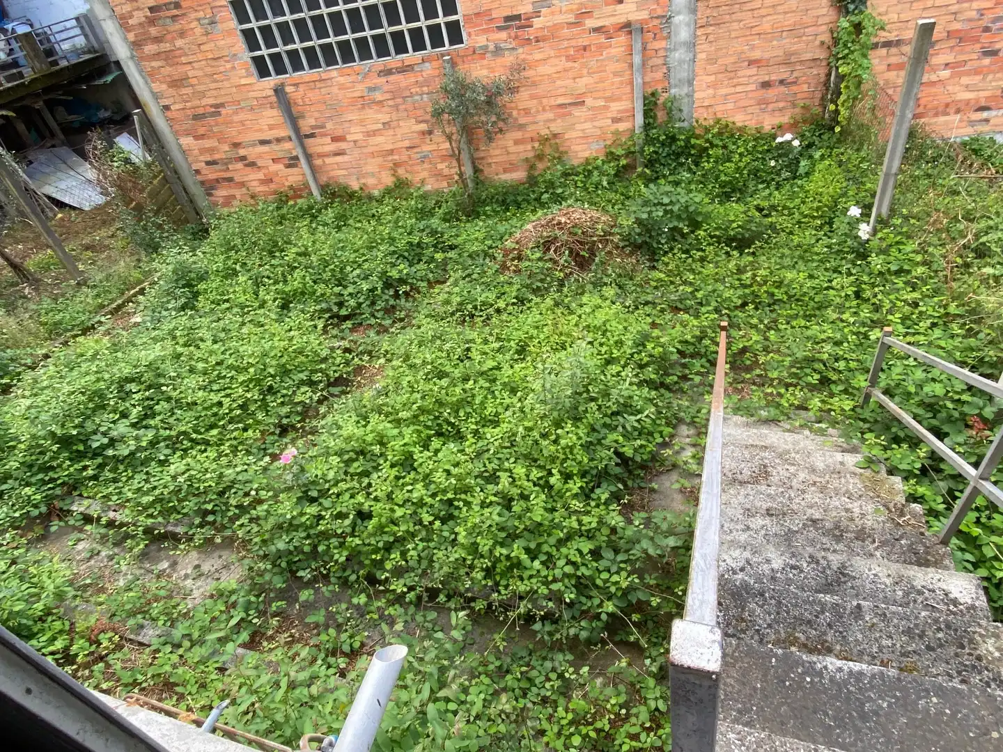 Casa amb terrassa en venda a Rua Republica Argentina, imagen 34