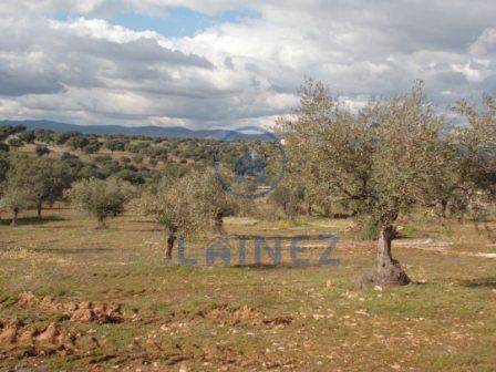 Terreno residencial en Venta en Los Blázquez