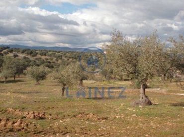 Terrain résidentiel à vendre à Los Blázquez
