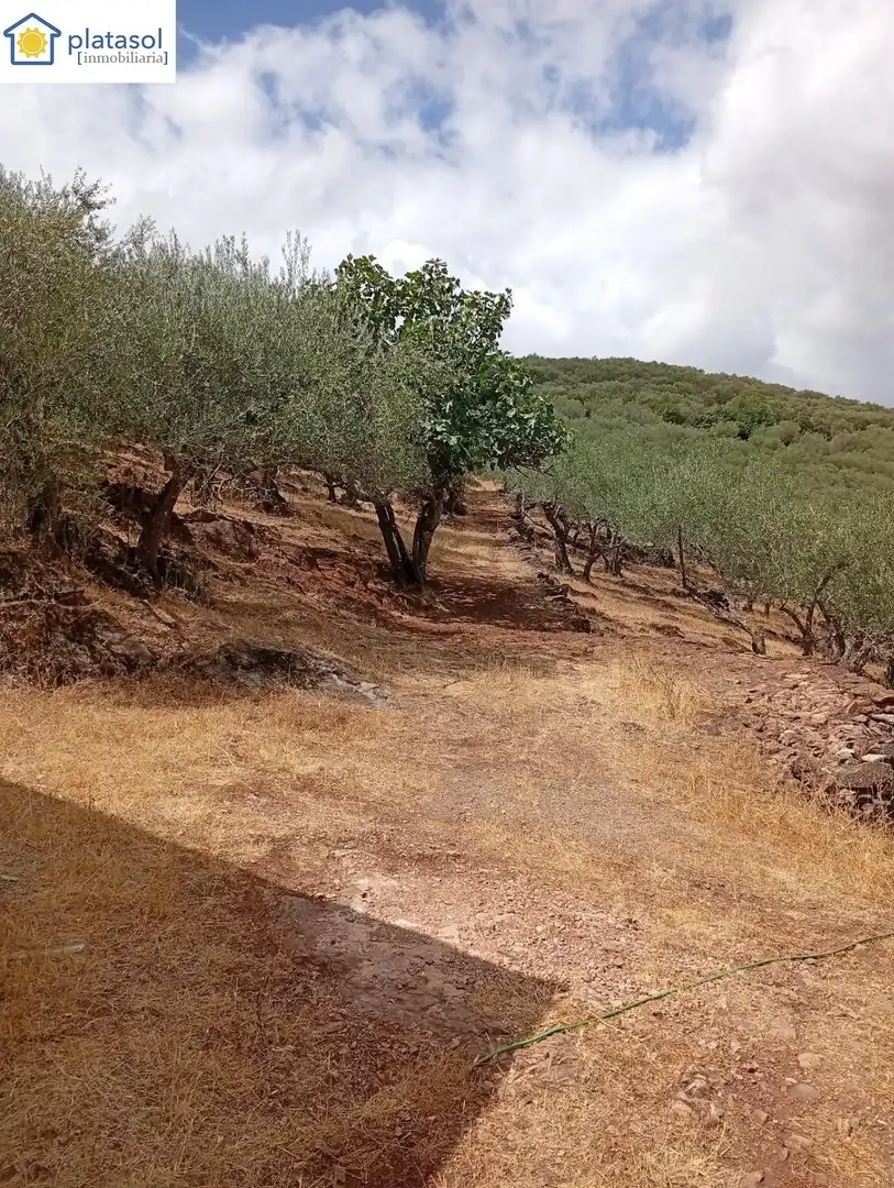 Casa rústica amb piscina en venda a Camino 21210, imagen 3