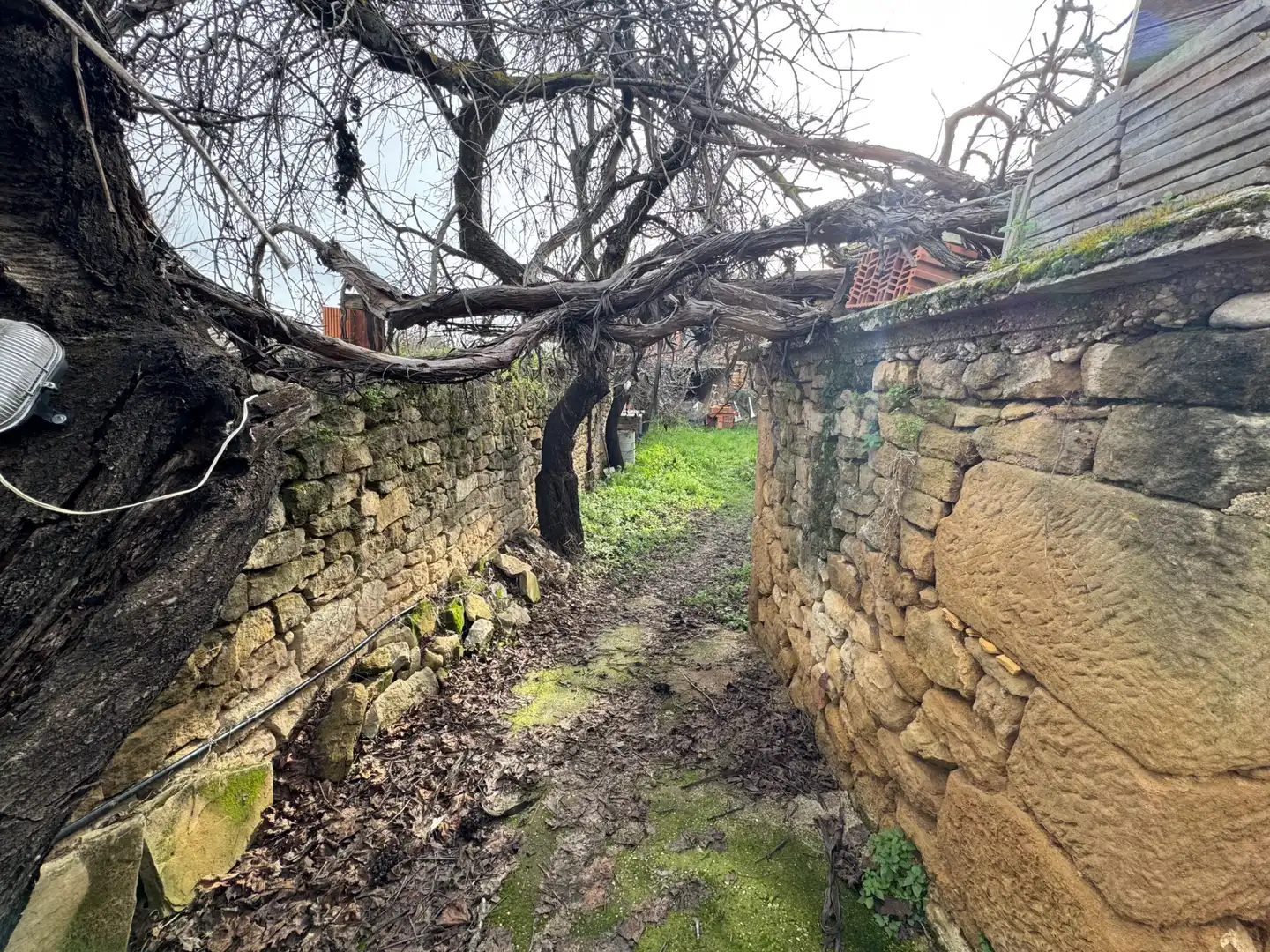 Finca rústica en venda en Torre del Compte amb Jardí privat